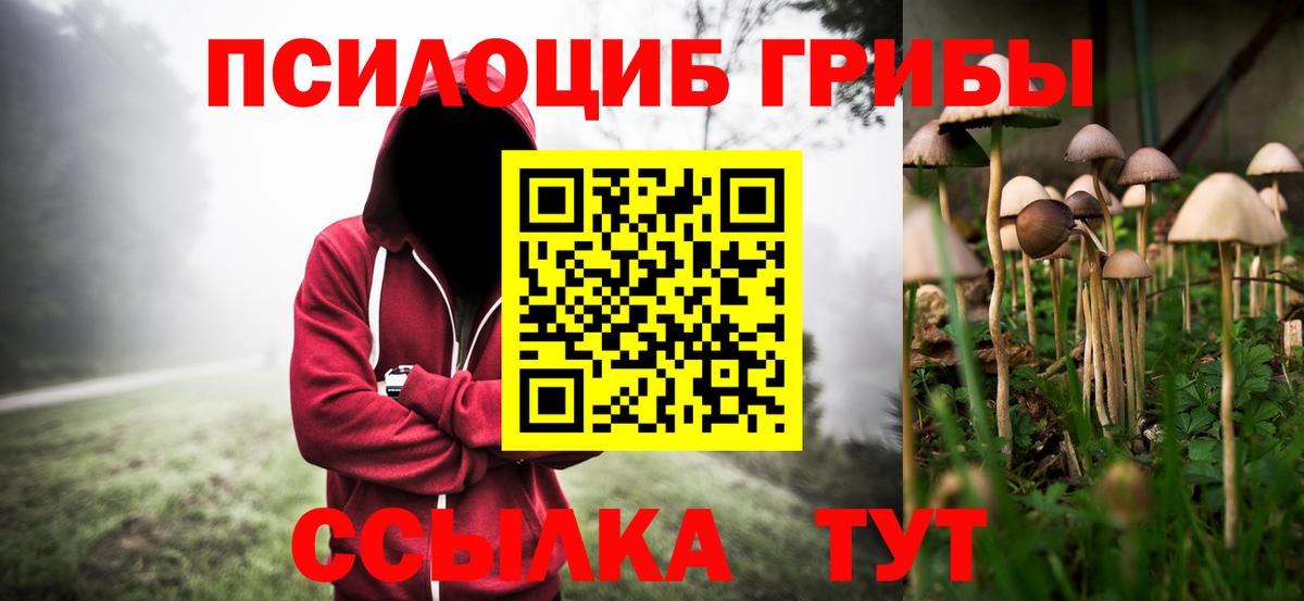 Гагарин  Псилоцибиновые грибы ЛСД  Галлюциногенные грибы мицелий  Вход с VPN 